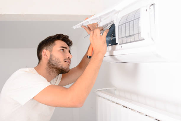 Air Duct Mold Removal in Collingdale, PA